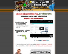 mastering niche marketing
